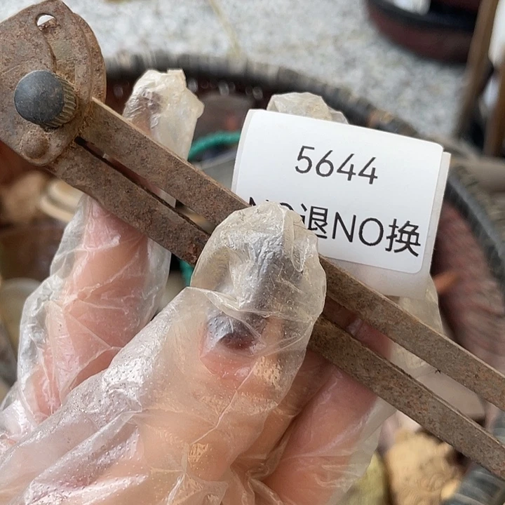 把***我瓷片5644号工艺品