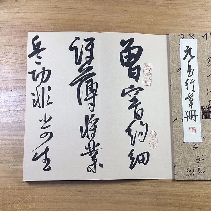 书法中书协会员作品