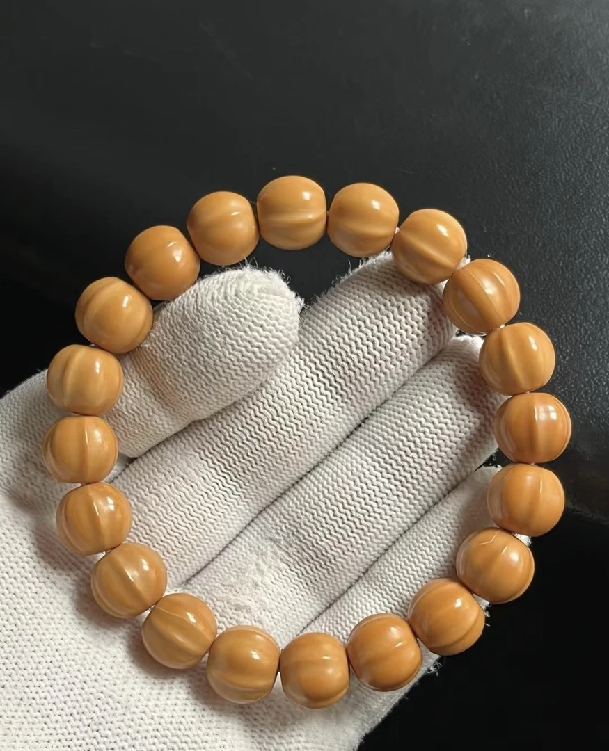 四花鲨鱼 小鲨鱼 鲨鱼背小四花