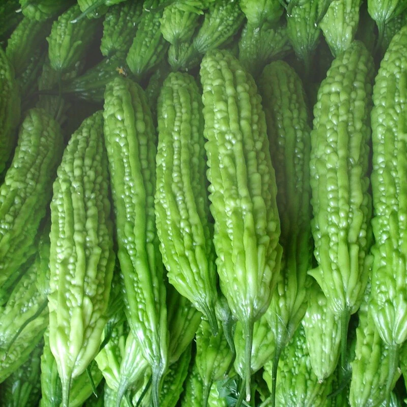 【热卖】江西鄱阳本地农家自种新鲜苦瓜脆嫩营养素菜