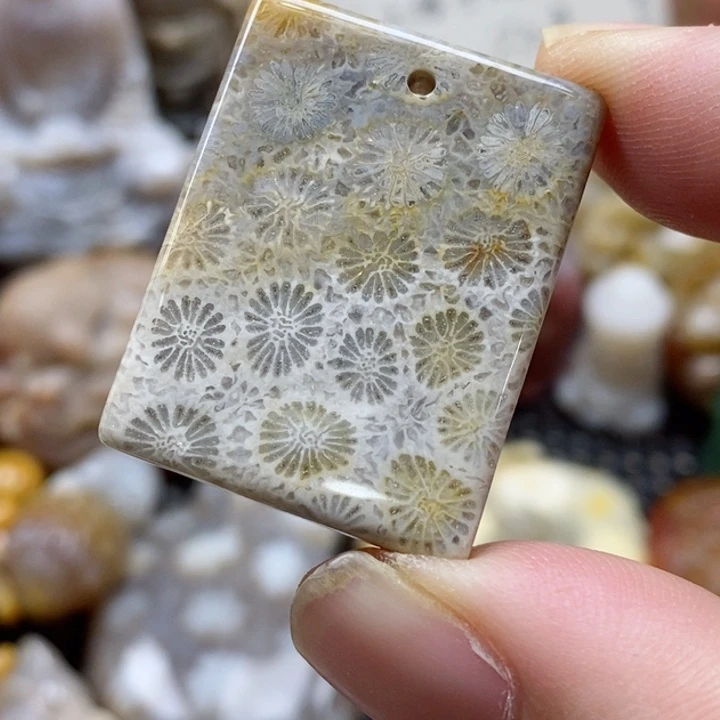 硅化珊瑚（珊瑚玉）颈饰未镶嵌小吊坠