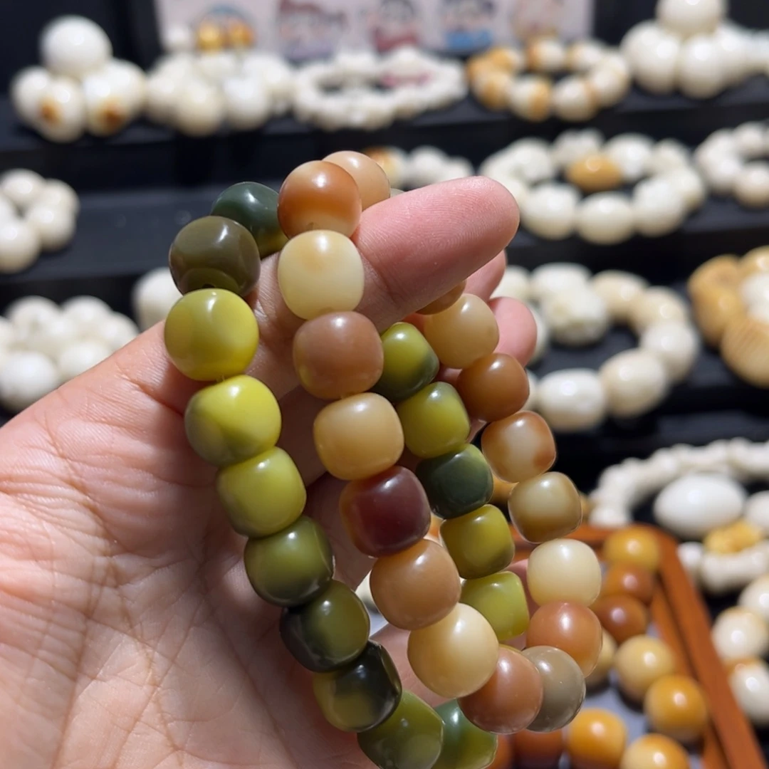 吊坠菩提根/象牙果