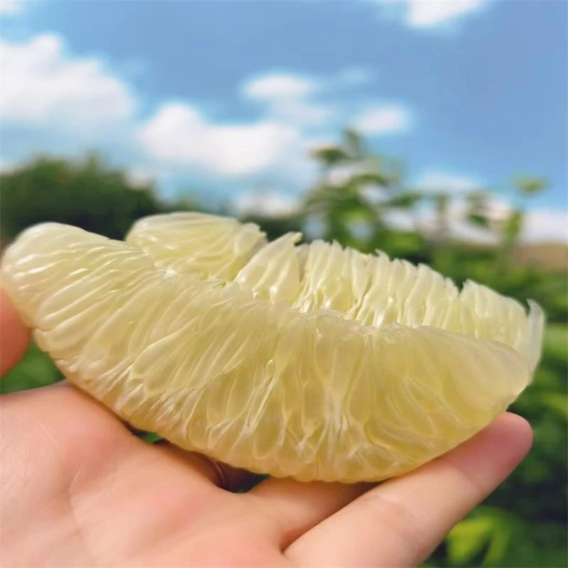 正宗湖南安江雪峰冰糖柚麻麻小甜苦白心柚现摘新鲜超甜当季水果