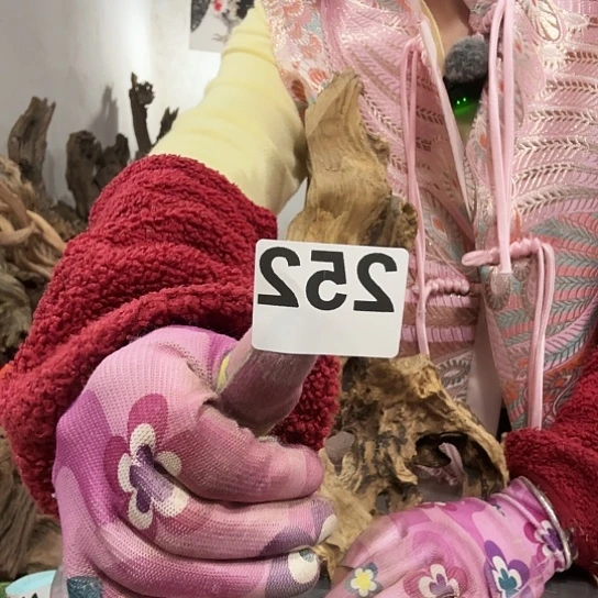 嘿****你紫砂的味道很好闻啊好