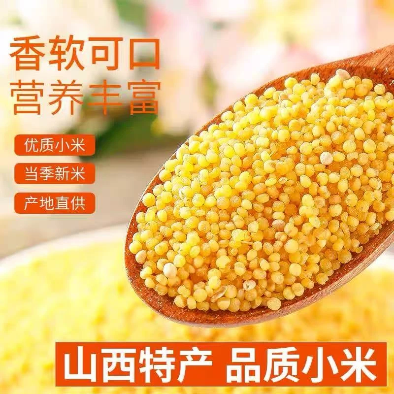 普通装【普通米5斤】普通米黄小米月子米宝宝米软糯小米油小米