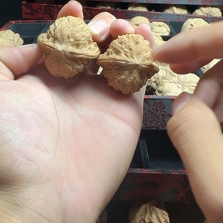 白***吊坠龙脊菩提啊啊啊啊啊啊啊啊啊啊啊啊18
