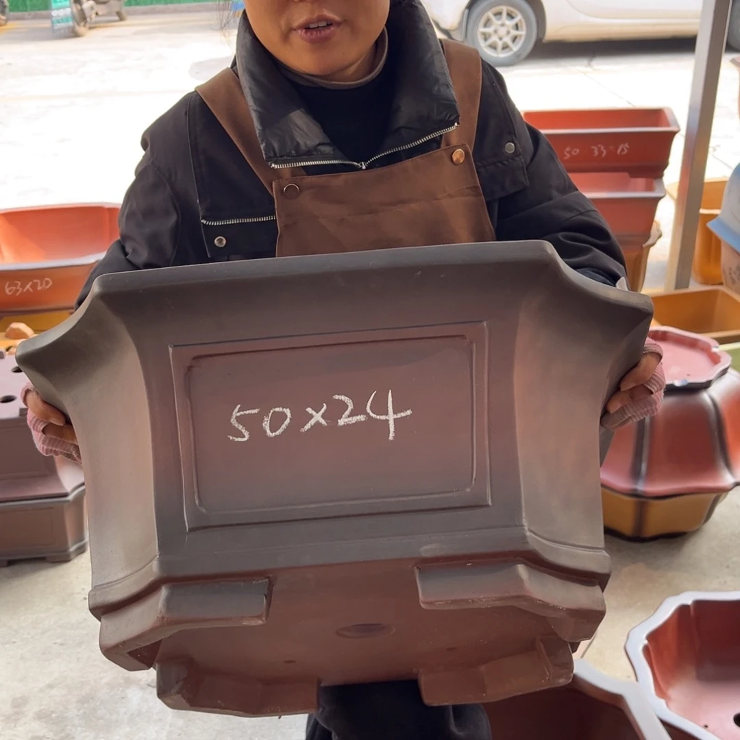 紫砂花盆盆景艺术