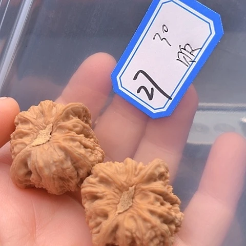 文玩核桃吊坠贩***?红宝石