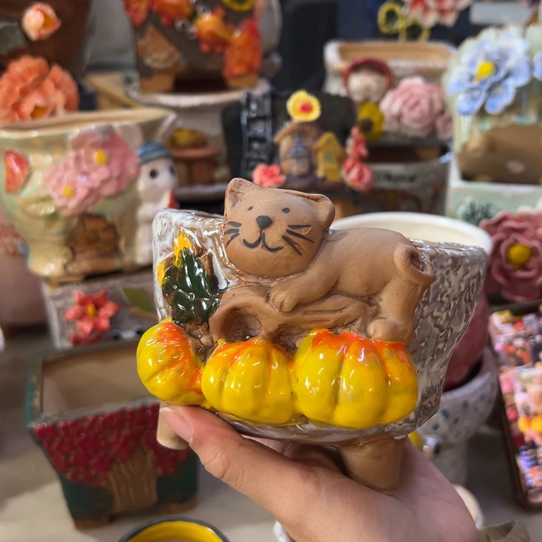 多肉花盆满20发货，爱退款拉黑
