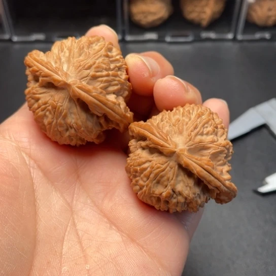 【闪购商品】把件文玩核桃老款白狮子………