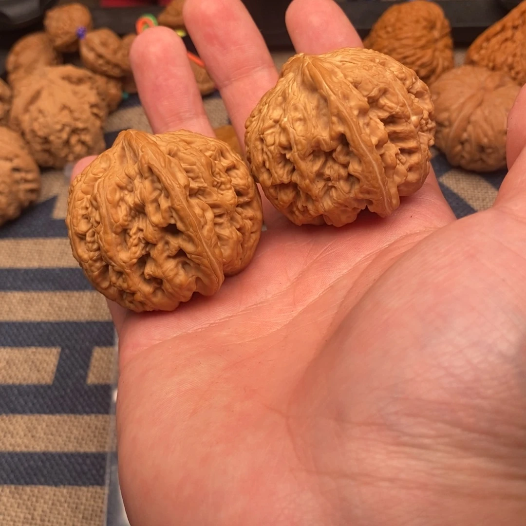 大粗筋全品没有问题