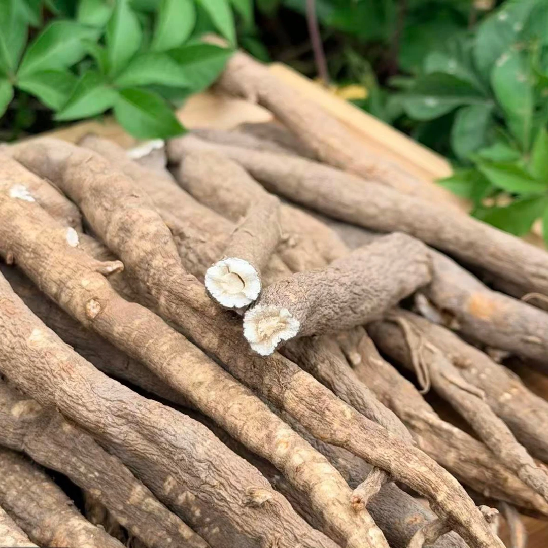 正宗阿坝藏当归 无硫熏无打药可炖汤 煮水煮鸡蛋 炖猪蹄炖排骨12