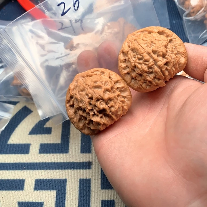 文玩核桃吊坠48龙鼎264