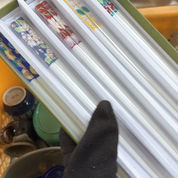 碗开播啦…开播啦