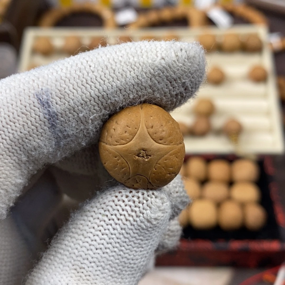 吊坠凤眼菩提17.9五星单颗