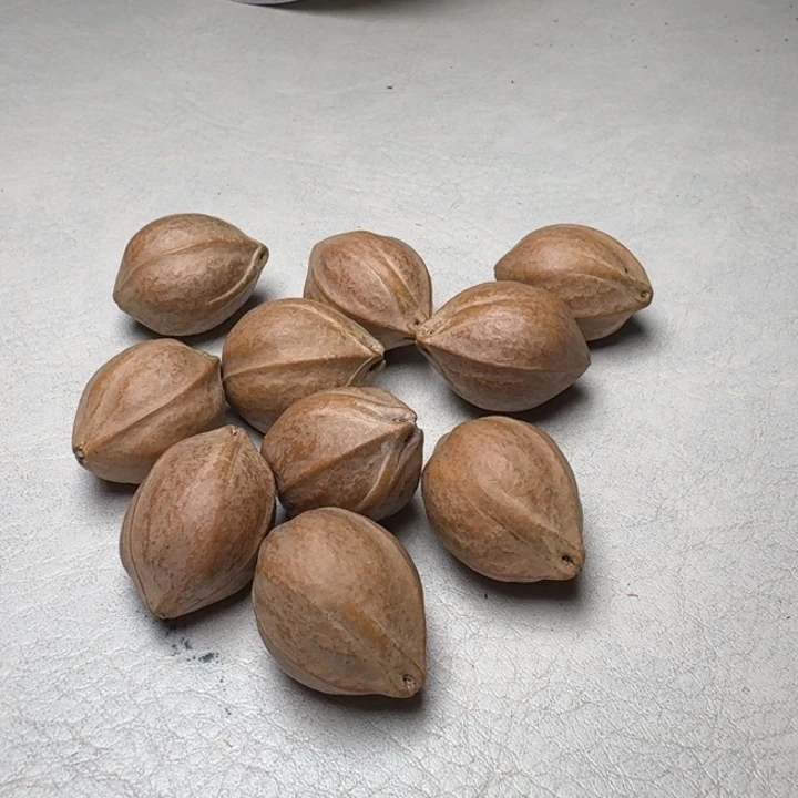 T***N手串/手链橄榄核橄榄核2-