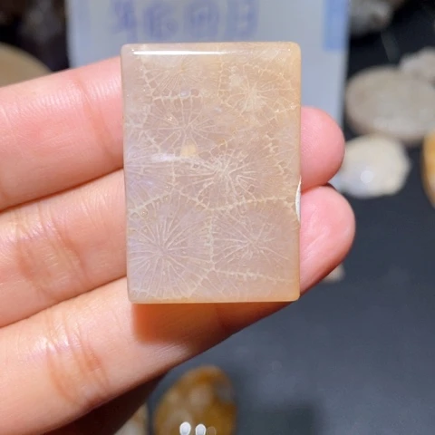 【闪购商品】硅化玉吊坠(不含链)未镶嵌