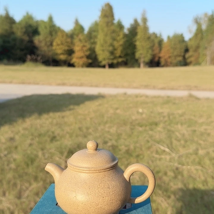 茶壶紫砂潘壶老段泥壶口开片下班价