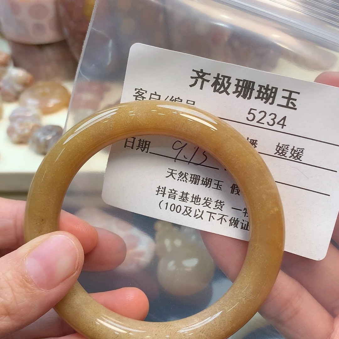 未镶嵌手镯硅化珊瑚（珊瑚玉）晶***猫