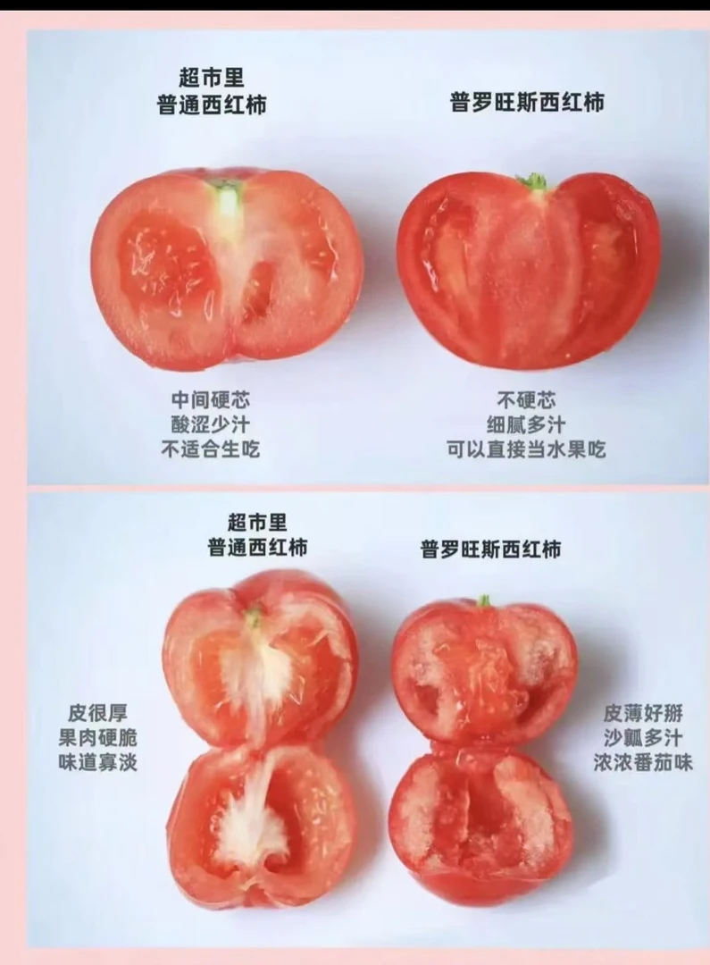 普罗旺斯可以吃的水果西红柿