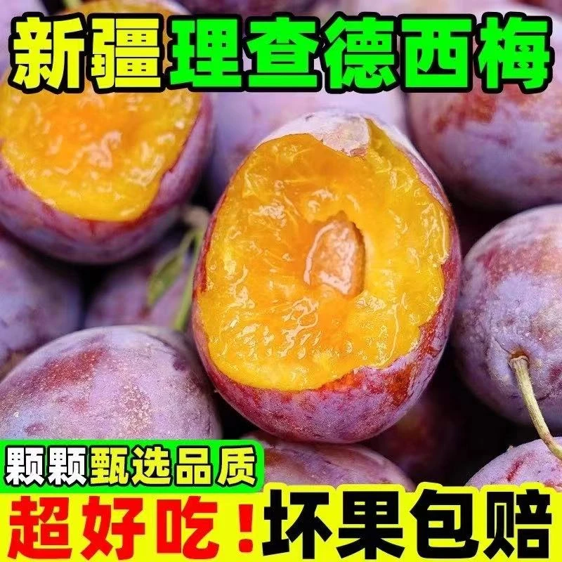 【顺丰包邮】新疆西梅鲜果当季甜西梅新鲜水果脆甜西梅整箱包邮