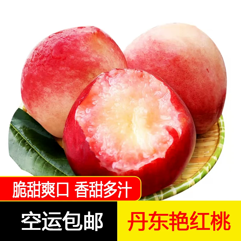 新鲜丹东艳红桃水蜜桃应季水果脆甜爽口香甜多汁果味浓郁4斤空运