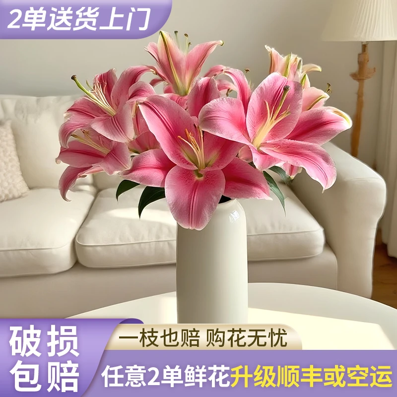 【源头优选】护卫舰香水百合花水养插花用云南直发鲜花