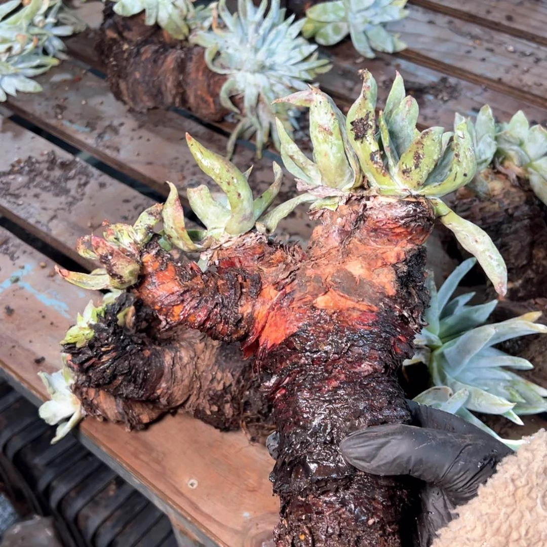 5473哈哈哈哈哈哈哈哈