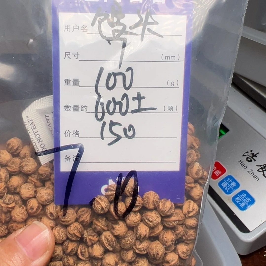 柏香籽/百香籽吊坠馒**人