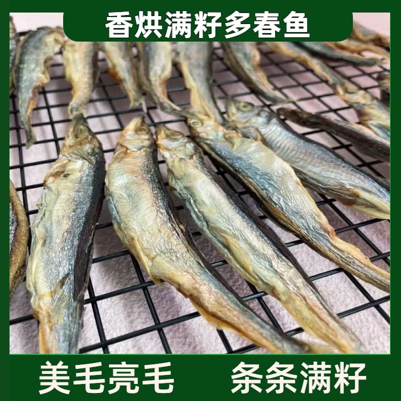 宠物零食香烘满籽多春鱼狗零食猫咪零食训练奖励狗狗吃零食
