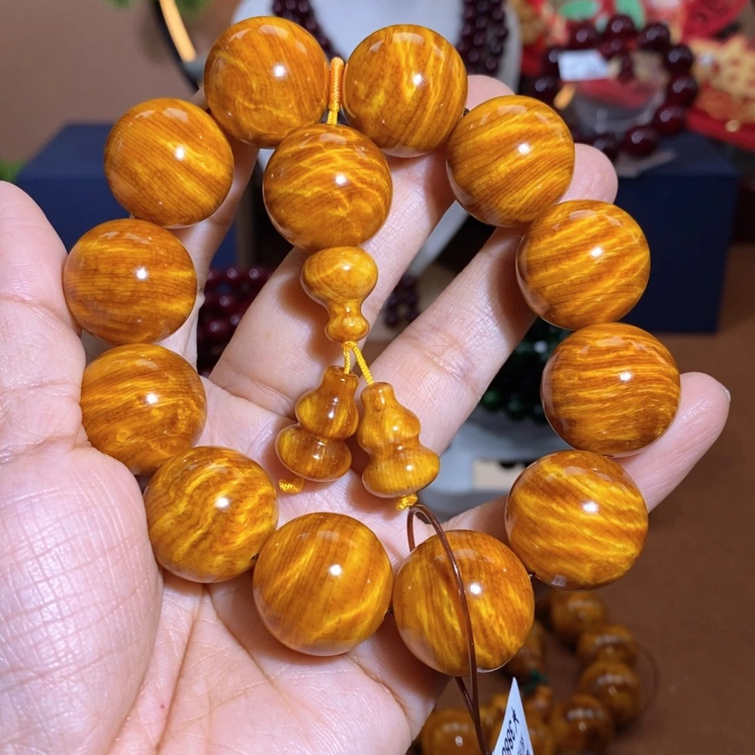 贝壳杉2.0爆满龙胆顶品