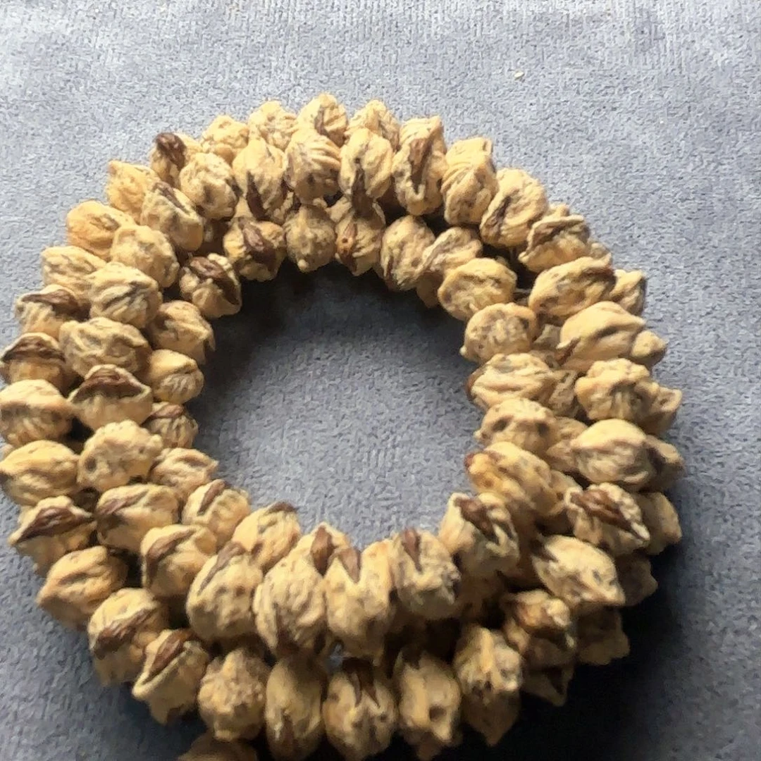 柏香籽/百香籽手串