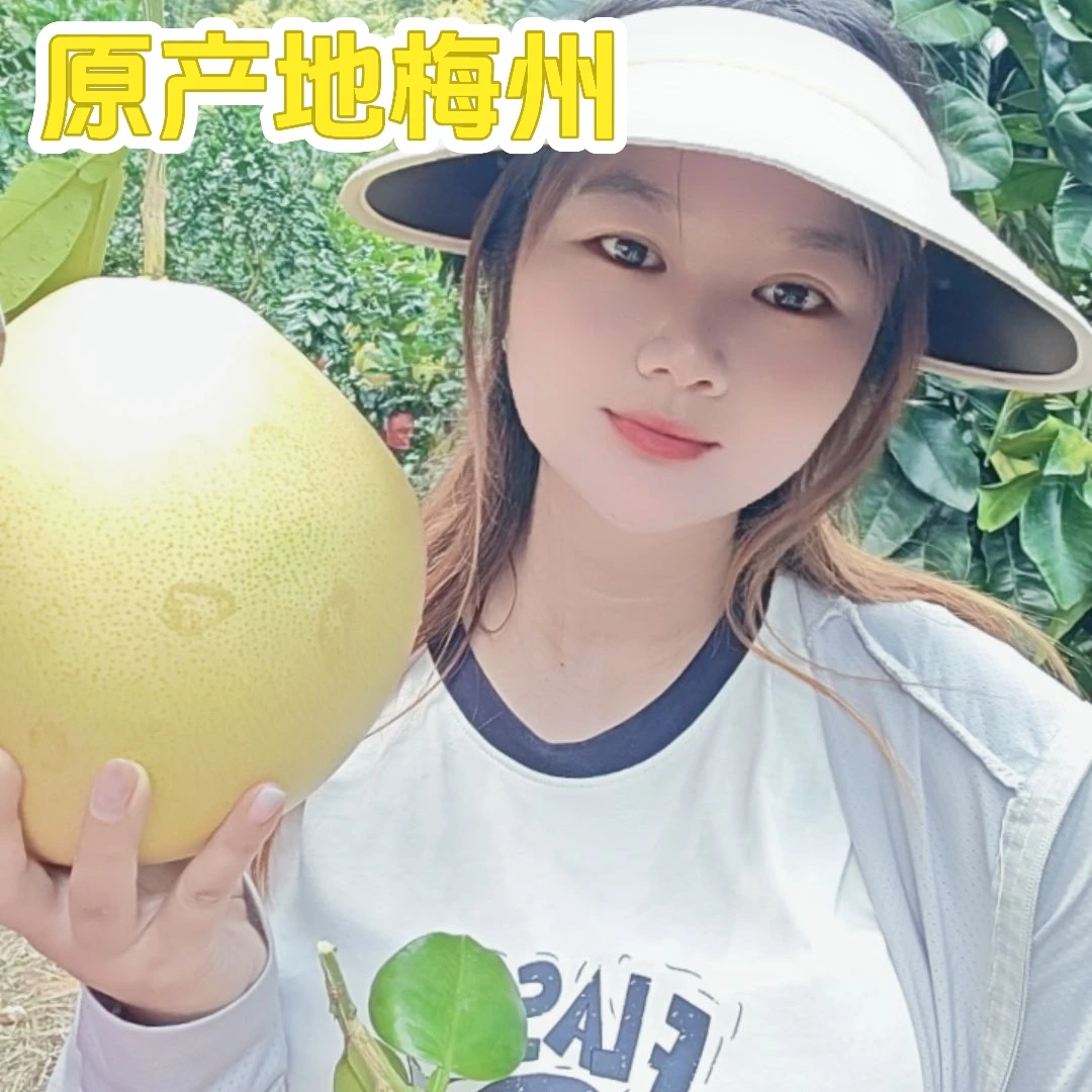 正宗梅州红心蜜柚当季水果现摘现发包邮到家