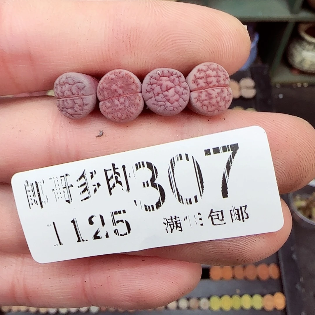 满满18包邮1125-307