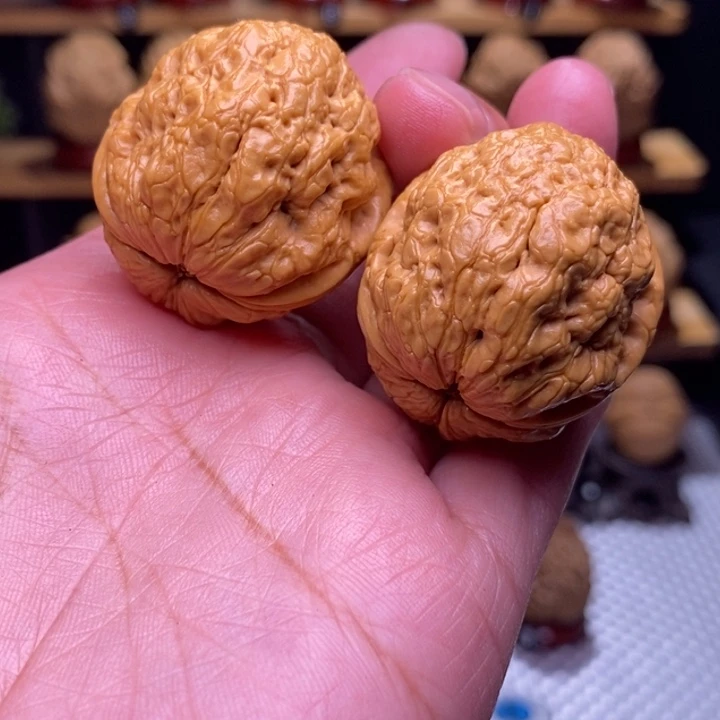 木质类云铁帝王蝉78号