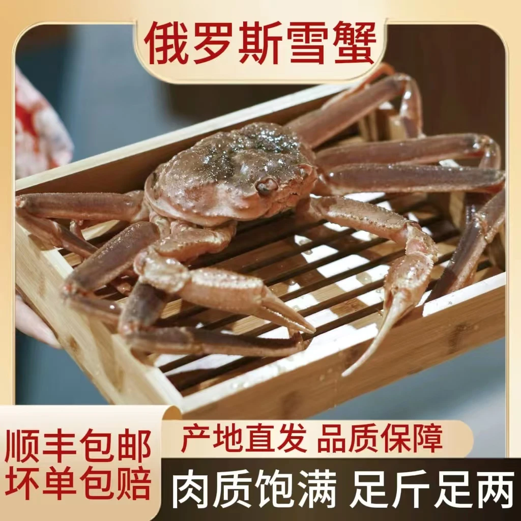 冰鲜松叶蟹500-3000g直播现称 压冰发货 保鲜 个别断腿介意勿拍