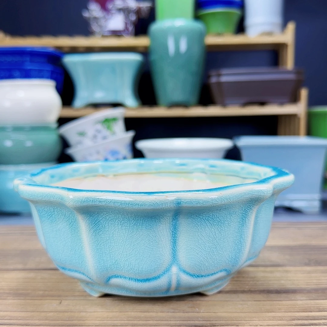 陶瓷花盆特价上新