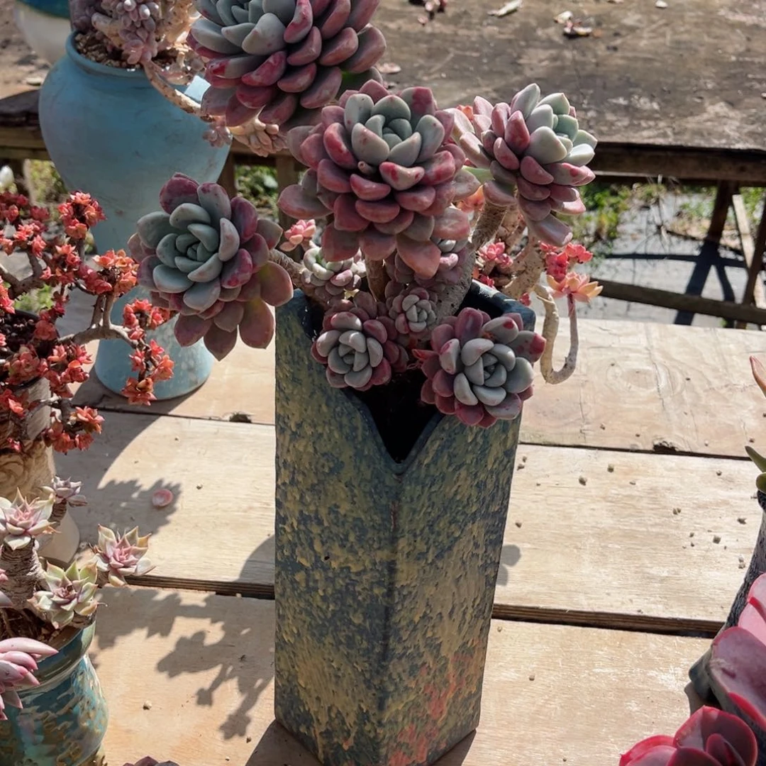 你是不是在．．．我的心里啊