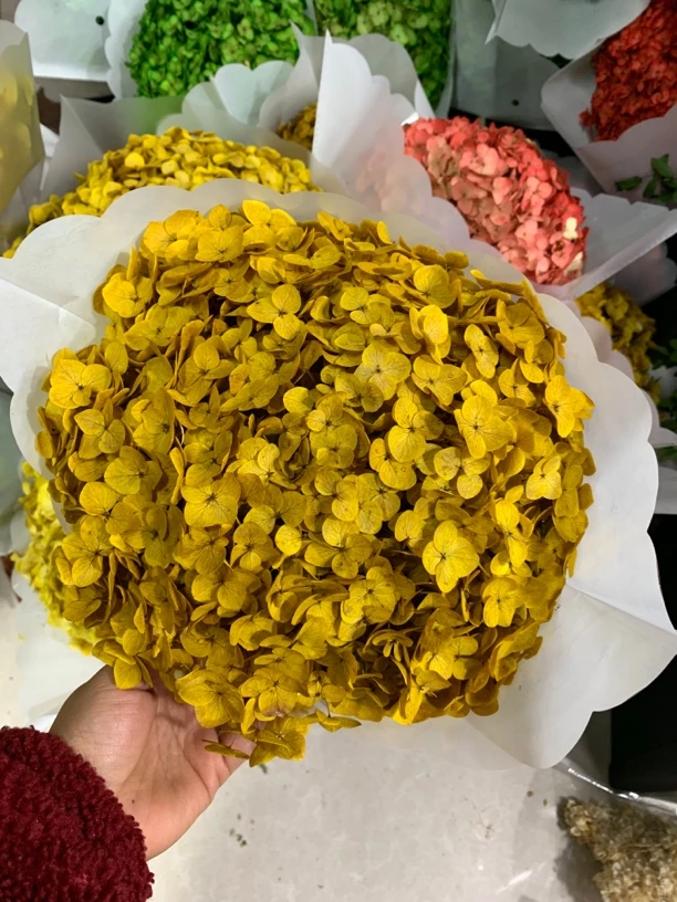 绣球 干花永生花 云南直发