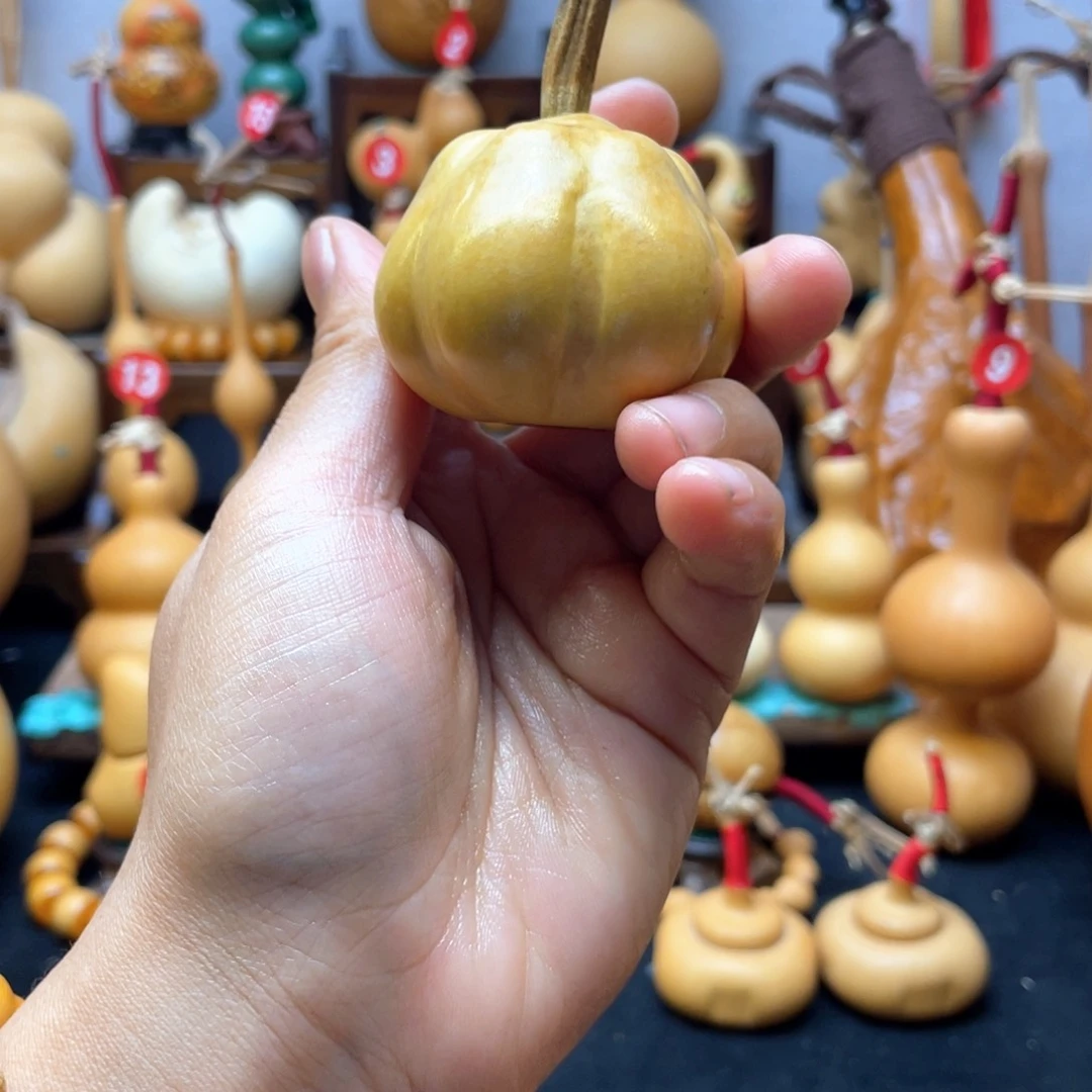 比*✨大自然的秘密第十一节的