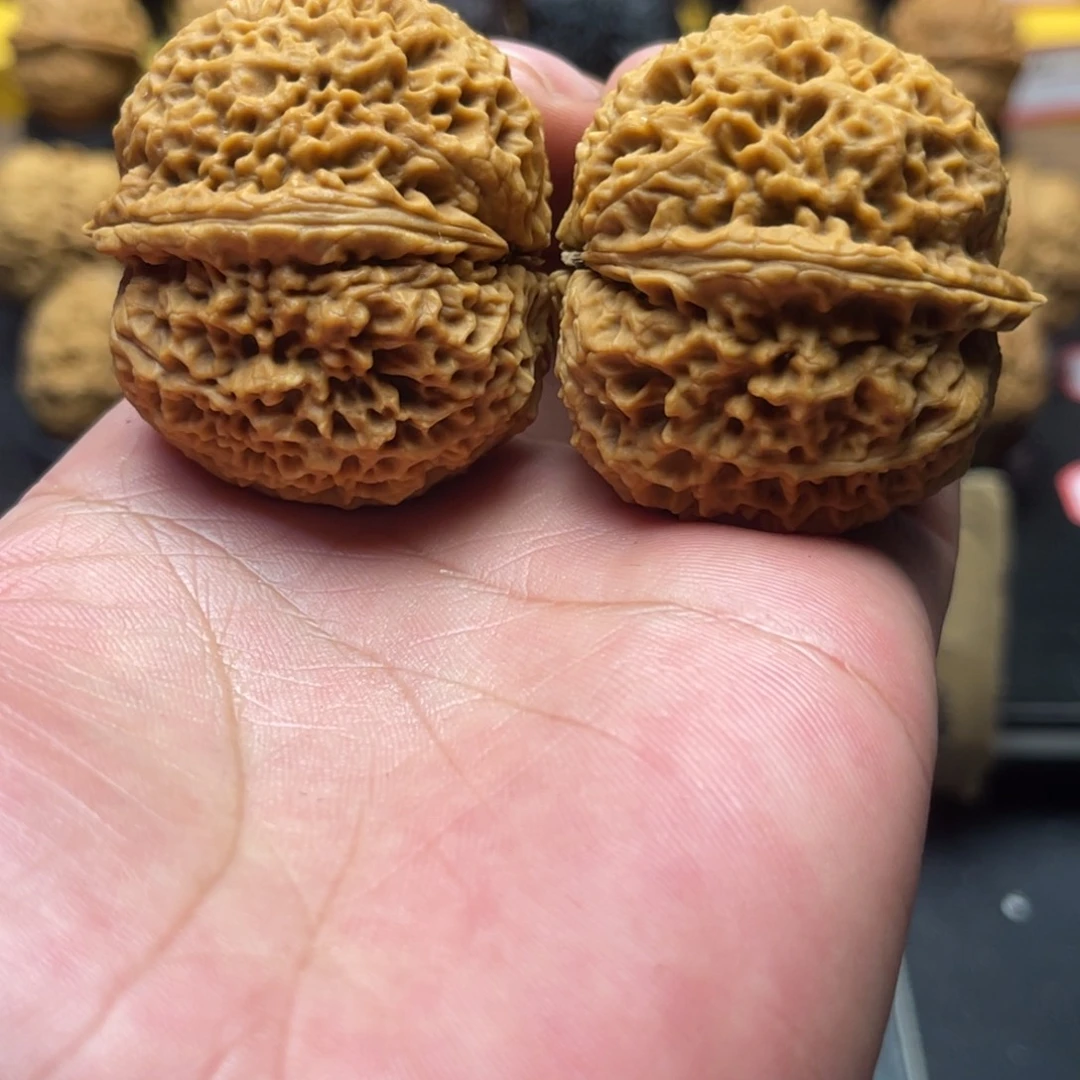 43mm乾坤筋 59克 瑕疵 2号