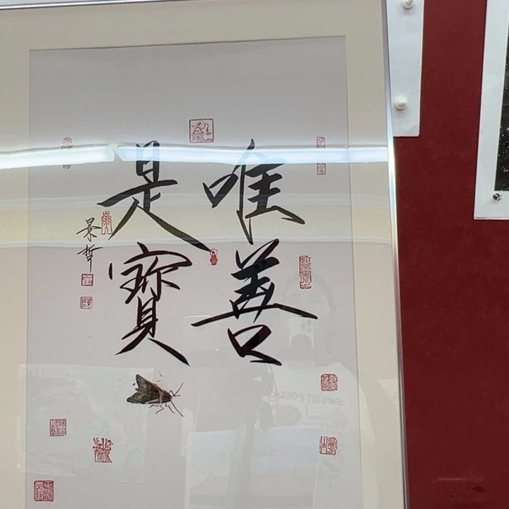 国画你好你好你好你好你好你好