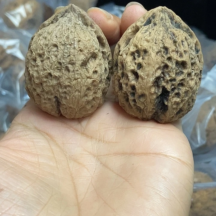 文玩核桃把件云南铁核桃基地95