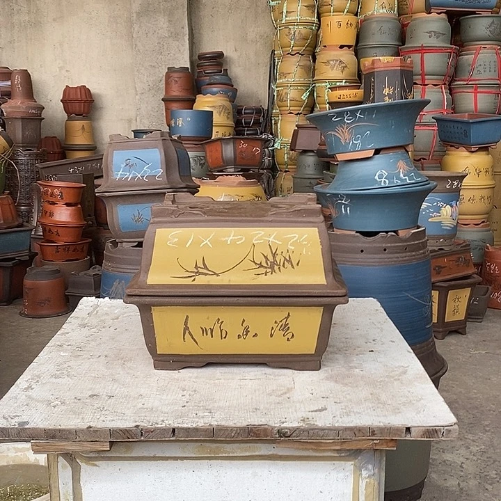 紫砂花盆盆栽植物花卉苗木