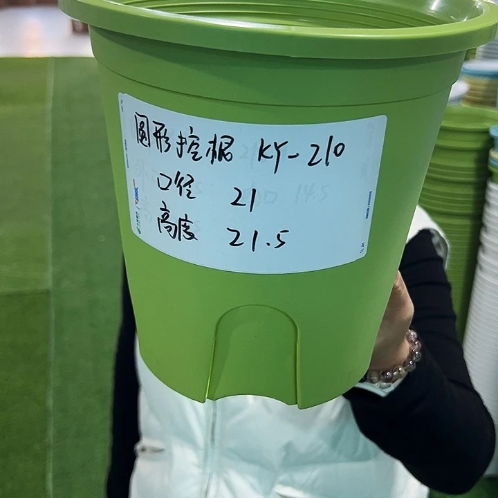 正品圆控口21高21果绿无托8只