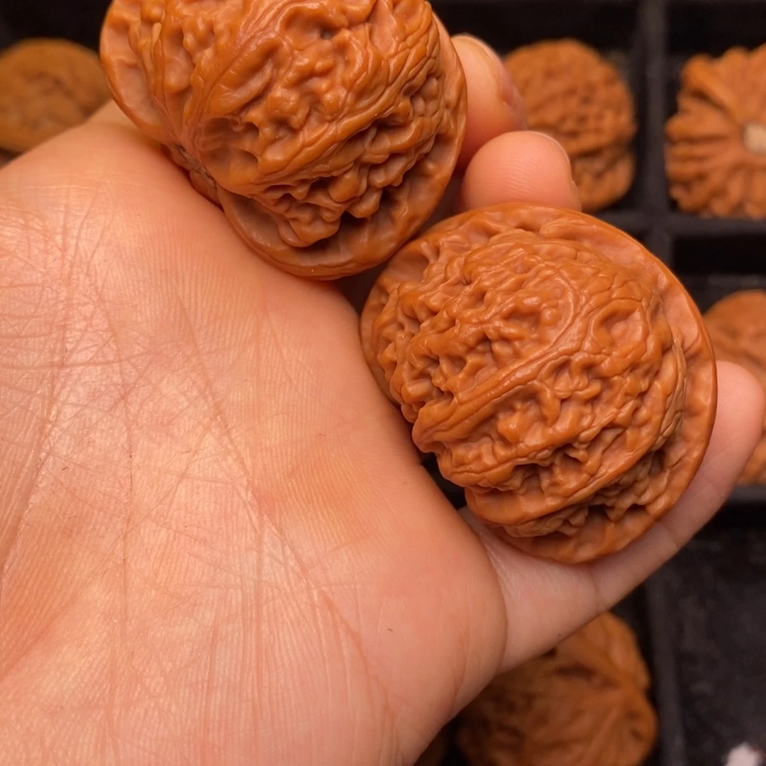 秦岭野生文玩核桃