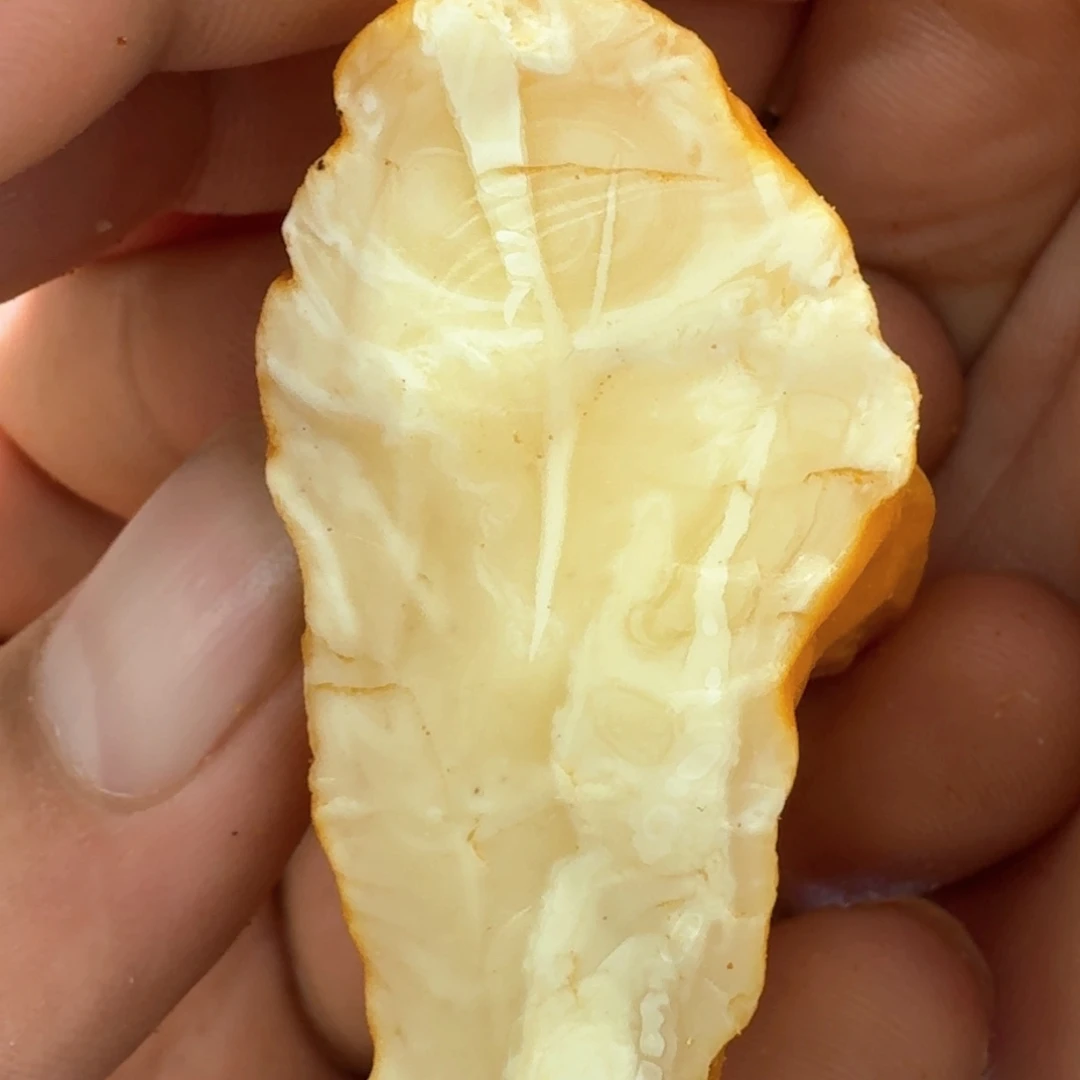 定制琥珀未镶嵌专拍