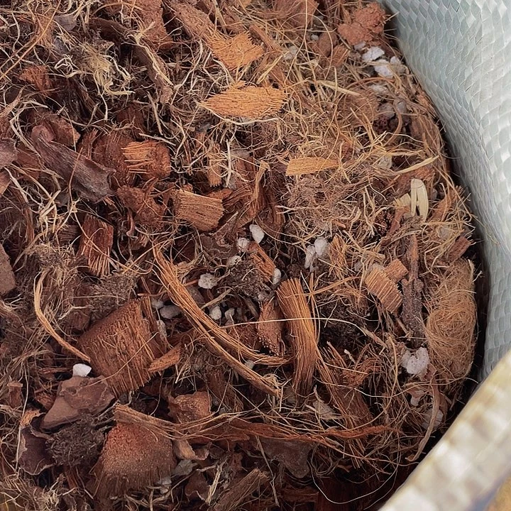 架接法师专用养护土01号