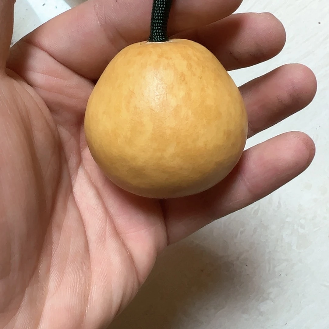 面***?花叶病手把胖梨葫芦