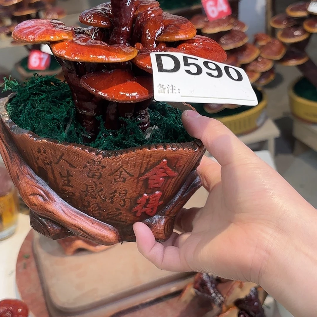 小***子无花朵灵芝7888888兔兔兔兔